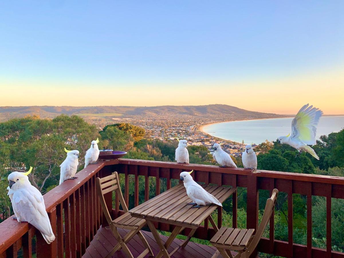 Kinoie Mornington - Oceanview Villa Mount Martha Exterior photo